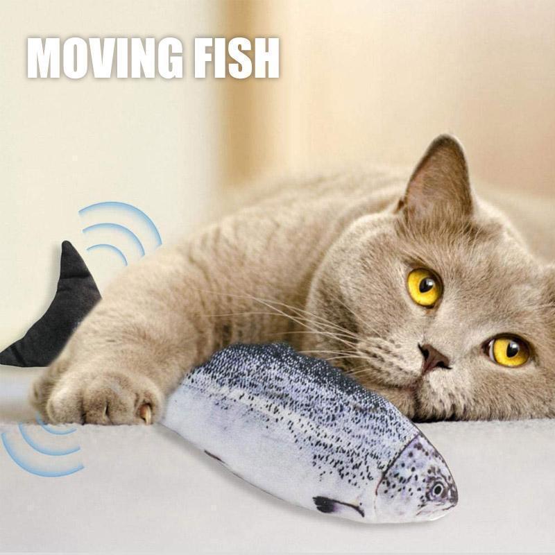 0532F267-46F4-3C41-7BF9-5A73C64B4F84.jpeg